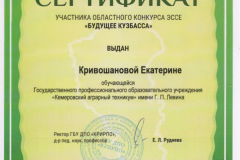 Сертификат 1 - 0003