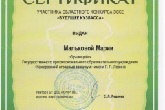 Сертификат 1 - 0004