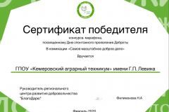 Сертификат Победителя конкурса-марафона_Центр добровольчества _02.2020