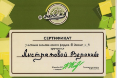 Сертификат 2 - 0006