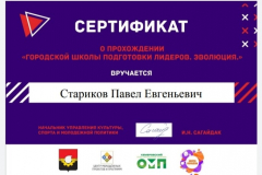 Сертификат _Стариков П._Гор.ШПЛ_2020