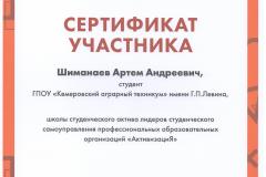 Шиманаев-А._Серт_Активизация_26-28.11.2021
