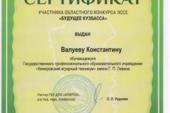 Сертификат 1 - 0002