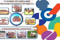 Презентация-на-классный-час_00010