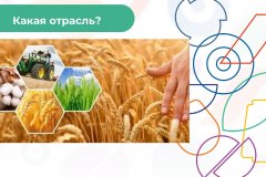 Презентация-на-классный-час_00039