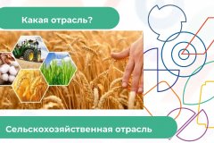 Презентация-на-классный-час_00040