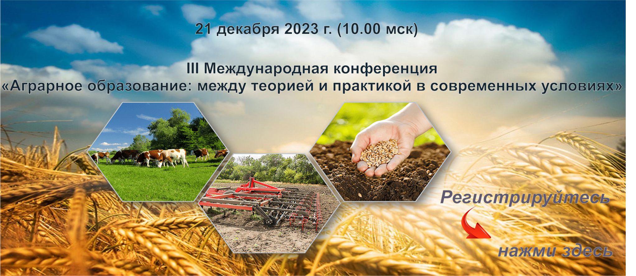 Взаимодействие профессиональных образовательных организаций и предприятий аграрного профиля как условие качественной подготовки выпускников